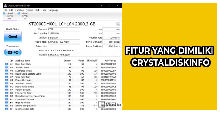 Fitur yang Dimiliki CrystalDiskInfo