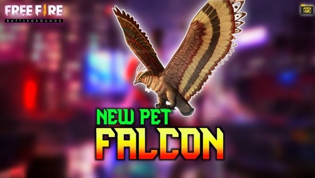  Nama  Pet FF  Keren  Falco Dengan Mudah Ini Cara Buatnya