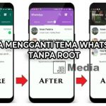 Cara Mengganti Tema WhatsApp Tanpa Root