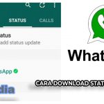 Cara Download Status WhatsApp