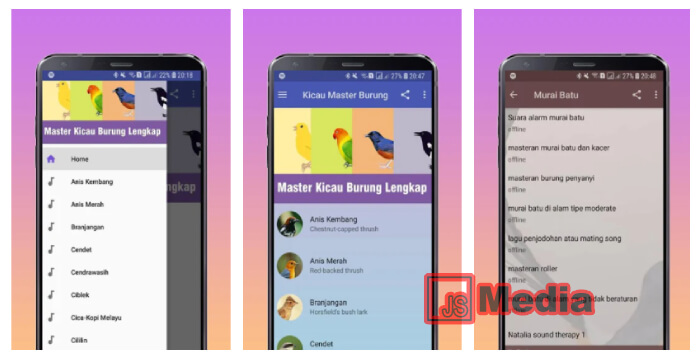 Penting Melatih Burung! Berikut 5 Aplikasi Burung Terlengkap