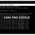 Test Koneksi! Inilah 5 Cara Ping Google di PC dan Android