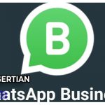 Pengertian WhatsApp Business