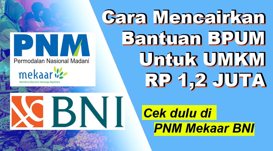 Cara cek penerima bantuan pnm mekaar