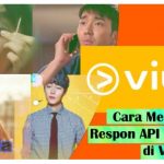 Cara Mudah Mengatasi VIU Error Respon API Tidak Valid