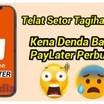 Denda Shopee PayLater Perbulan Jika Telat Bayar!