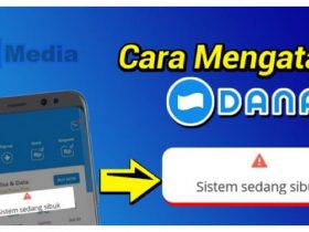 Cara mengatasi DANA Error