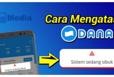 Cara mengatasi DANA Error