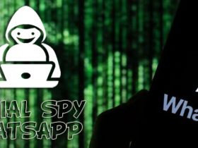 Social Spy Whatsapp APK