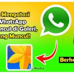 5 Cara Atasi Foto WhatsApp Tidak Muncul di Galeri