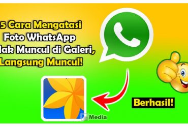 5 Cara Atasi Foto WhatsApp Tidak Muncul di Galeri