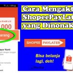 Cara Mengaktifkan Shopee PayLater yang Dinonaktifkan