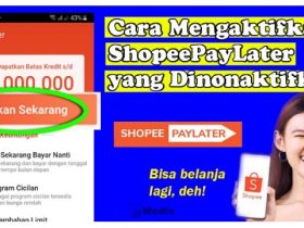 Cara Mengaktifkan Shopee PayLater yang Dinonaktifkan