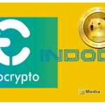 Terlengkap! 2 Cara Beli Doge di Tokocrypto dan Indodax dengan Mudah