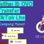 Cara Melihat ID OVO untuk TikTok Lite