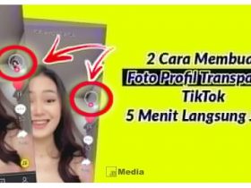 Cara Membuat Foto Profil Transparan TikTok