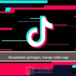 Kesalahan jaringan tiktok lite