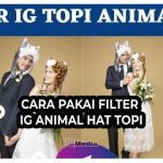7 Cara Pakai Filter IG Animal Hat Topi, Keren dan Lucu!