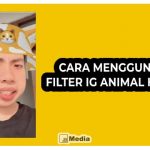 7 Cara Pakai Filter IG Animal Hat Topi Auto Tambah Follower