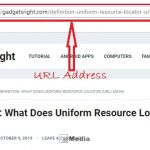 Pengertian URL : Fungsi, Komponen URL yang Harus Anda Ketahui