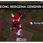 5 Lokasi Keong Bergema Genshin Impact, Ternyata Disini