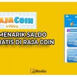 Raja Coin, Apakah Terbukti Membayar?