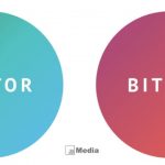 Desain Grafis Harus Tahu, Apa perbedaan Vektor dan Bitmap? Begini Penjelasannya