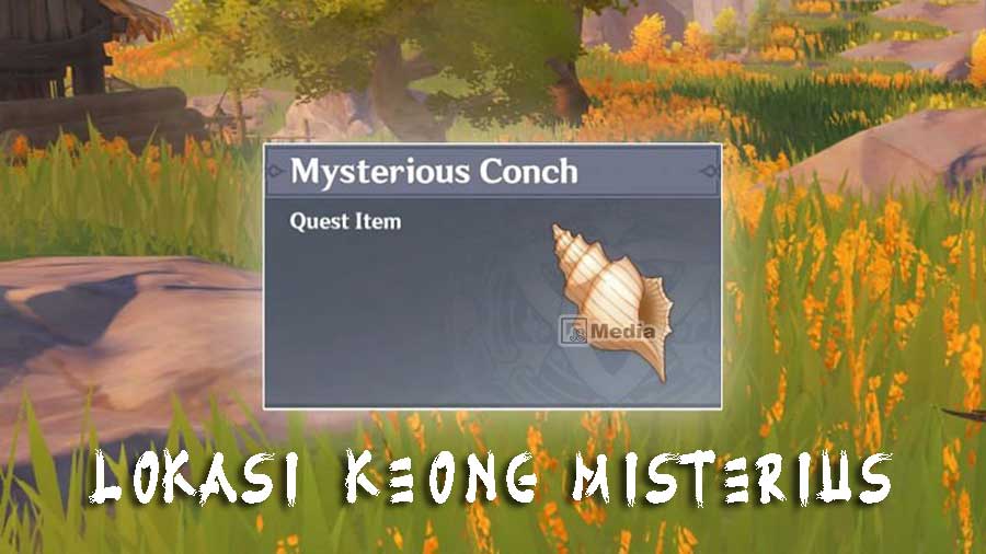 Загадочная раковина геншин. Mysterious Conch locations.