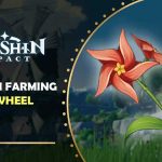 Lokasi bunga windwheel aster