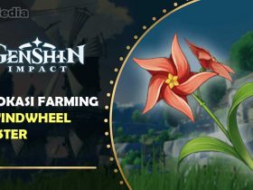 Lokasi bunga windwheel aster