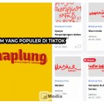 Viral! Mahaplung Com yang Populer Di TikTok, Ternyata Ini Artinya