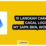 10 Langkah Cara Atasi Gagal Login My SAPK BKN, Works 100%