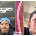 Art of The Zoo Tiktok, Siapkan Mentalmu Kalau Ingin Tahu Artinya