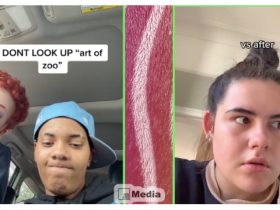 Art of The Zoo Tiktok, Siapkan Mentalmu Kalau Ingin Tahu Artinya