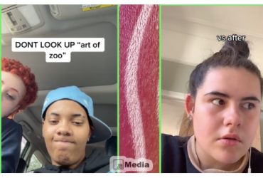 Art of The Zoo Tiktok, Siapkan Mentalmu Kalau Ingin Tahu Artinya