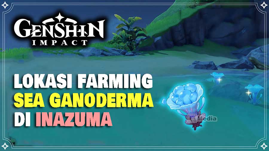 Lokasi Mencari Sea Ganoderma di Inazuma