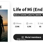 Novel Romansa Life Of Mi, Baca Disini Gratis Bikin Terharu