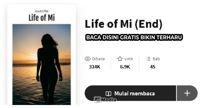 Novel Romansa Life Of Mi, Baca Disini Gratis Bikin Terharu