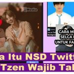 Apa Itu NSD Twitter Viral? NCTzen Wajib Tahu!