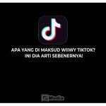 Apa Yang di Maksud Wiiwy TikTok? Ini Dia Arti Sebenernya!