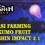 Lokasi Farming Amakumo Fruit