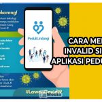 Cara Mengatasi Invalid Signature Aplikasi Peduli Lindungi