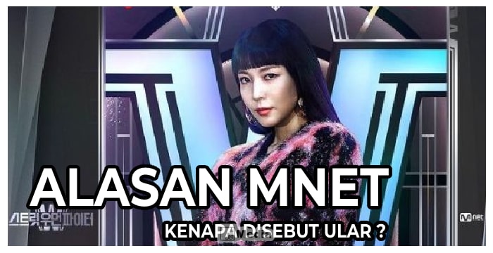 5 Alasan Mnet Kenapa Disebut Ular