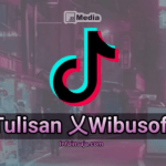 乂 Wibusoft TikTok : Cara Membuat Tulisan Wibusoft Mudah Kali