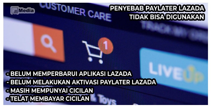 Penyebab Paylater Lazada Tidak Bisa Digunakan