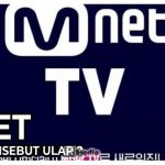 Mnet Kenapa Disebut Ular? Ini Dia Alasannya