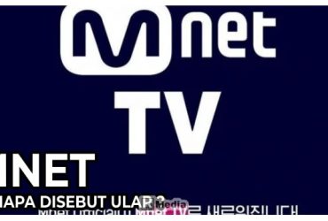 Mnet Kenapa Disebut Ular? Ini Dia Alasannya