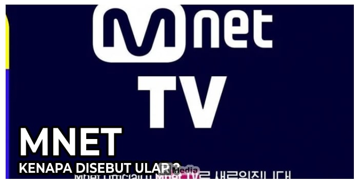 Mnet Kenapa Disebut Ular? Ini Dia Alasannya