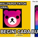 Ear Bear Wallpaper TikTok yang Lagi Viral, Begini Cara Buatnya!