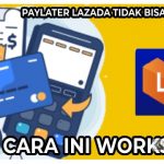 Paylater Lazada Tidak Bisa digunakan? Pakai Cara Ini Works 100%